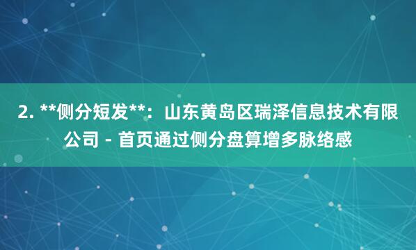 2. **侧分短发**:山东黄岛区瑞泽信息技术有限公司 - 首页通过侧分盘算增多脉络感